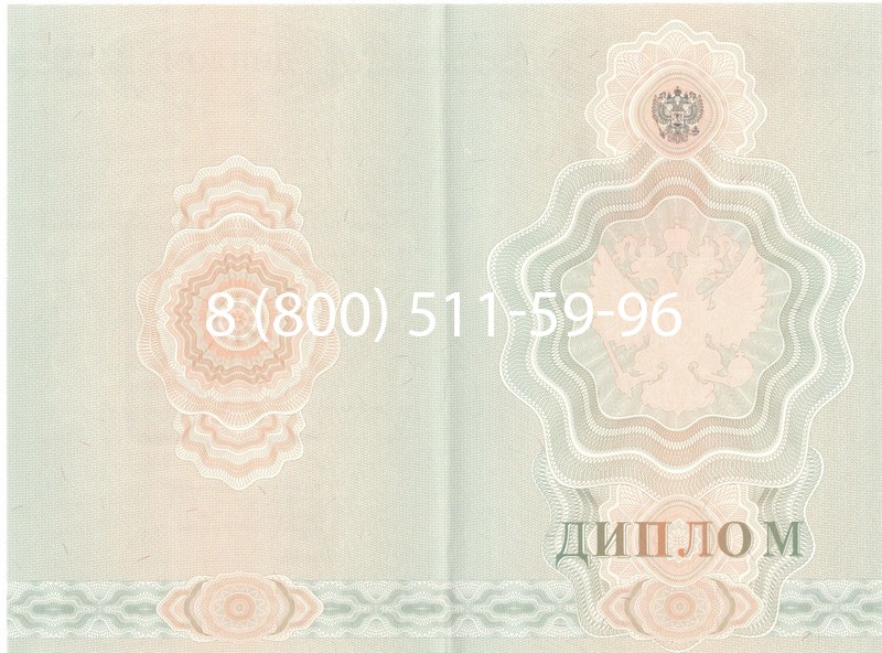 Купить Диплом ПТУ 2007-2010 годов в Челябинске