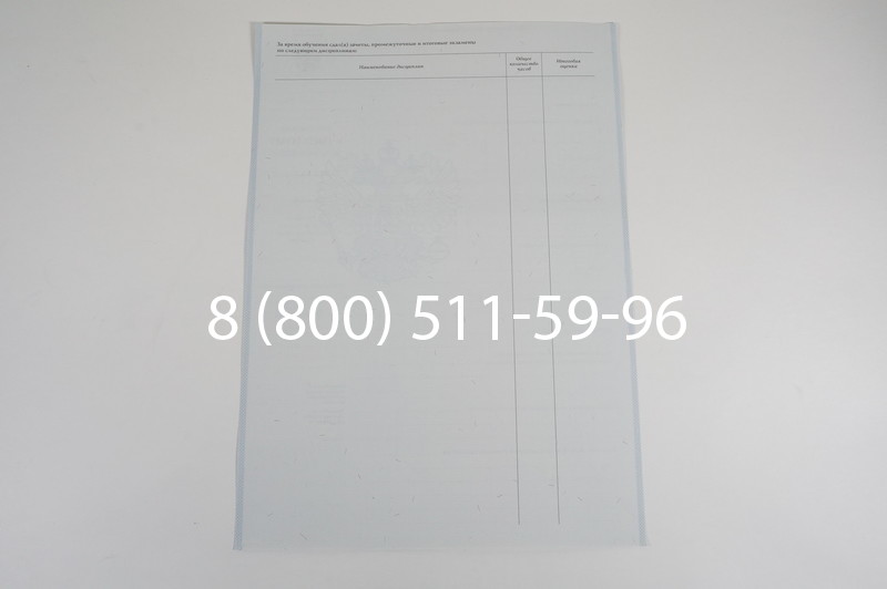 Диплом ПТУ 2007-2010 годов в Челябинске