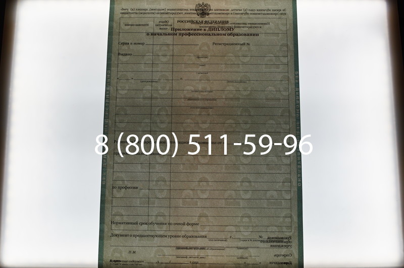 Заказать Диплом ПТУ 2014-2026 года в Челябинске