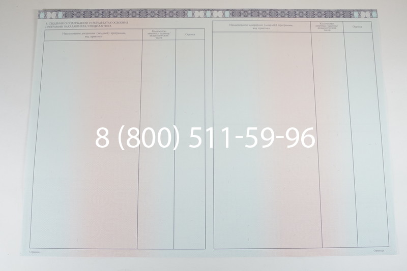 Диплом специалиста 2014-2026 года в Челябинске