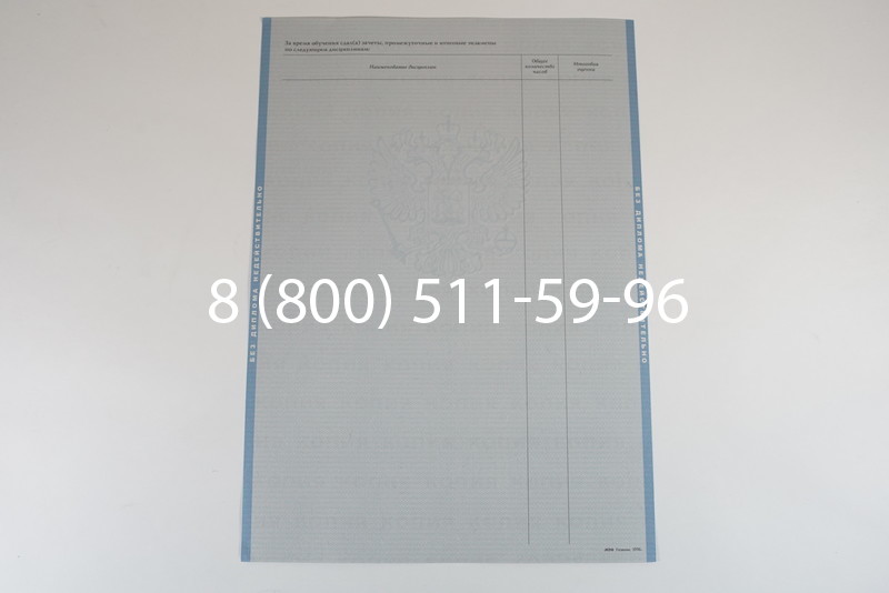 Диплом специалиста 2003-2009 годов в Челябинске
