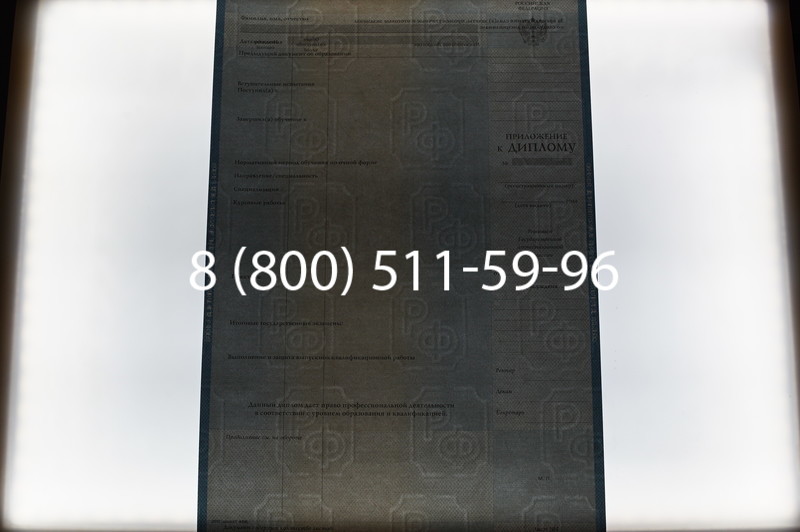 Заказать Диплом специалиста 2003-2009 годов в Челябинске