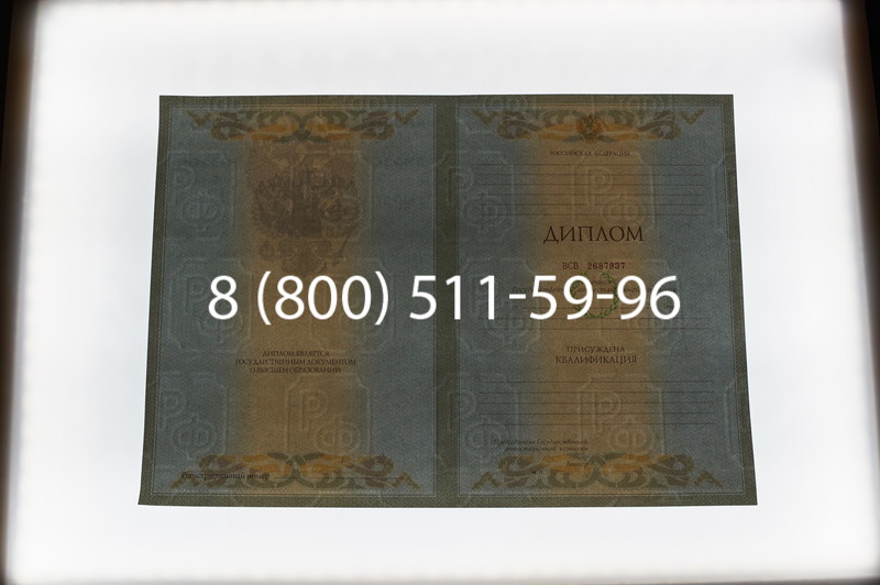 Заказать Диплом специалиста 2003-2009 годов в Челябинске