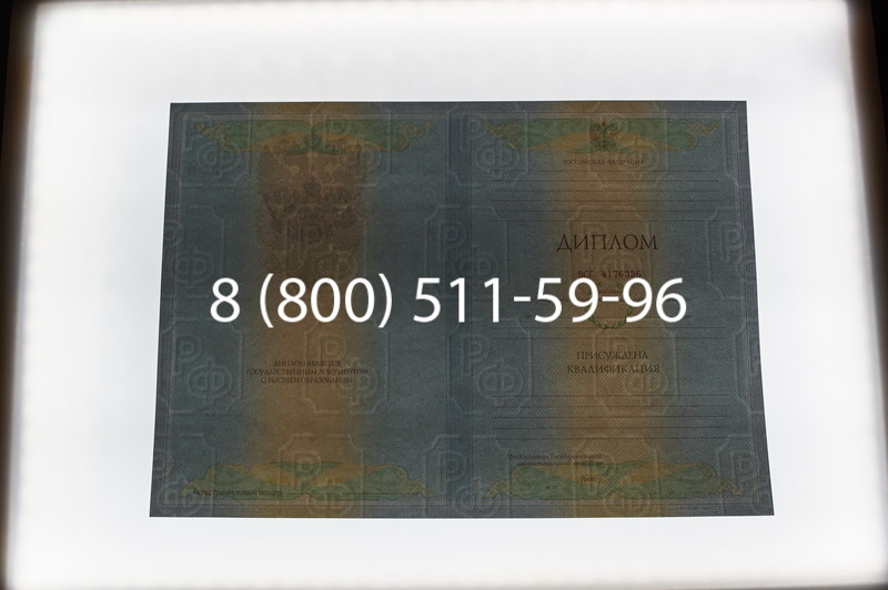 Заказать Диплом специалиста 2010-2011 годов в Челябинске