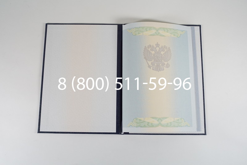 Диплом специалиста 2010-2011 годов в Челябинске