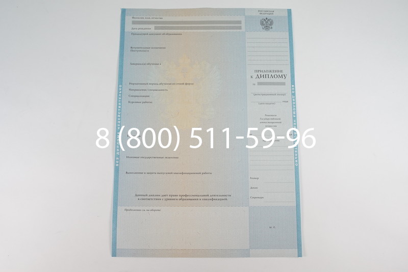 Диплом специалиста 2010-2011 годов в Челябинске