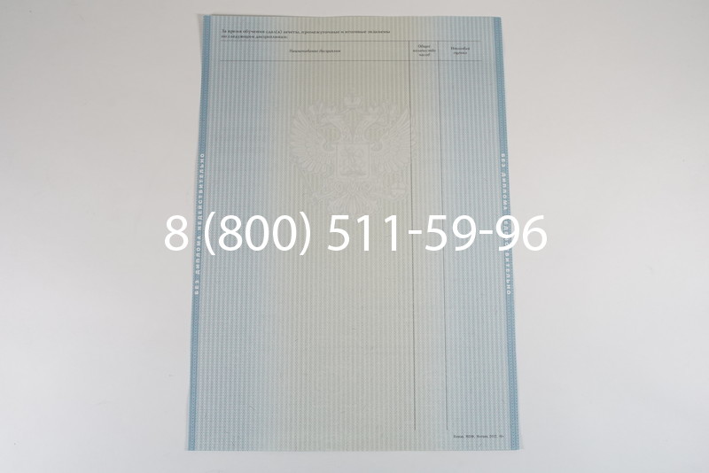 Диплом специалиста 2012-2013 годов в Челябинске