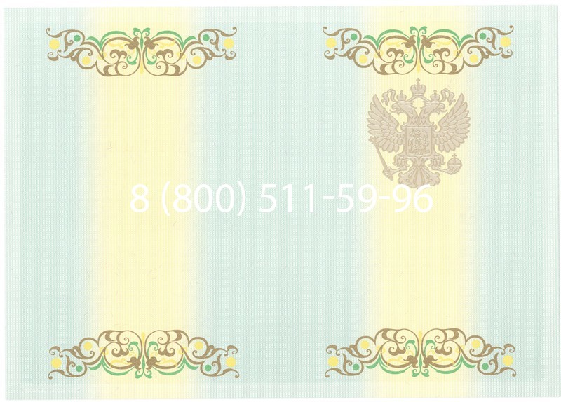 Купить Диплом специалиста 2012-2013 годов в Челябинске