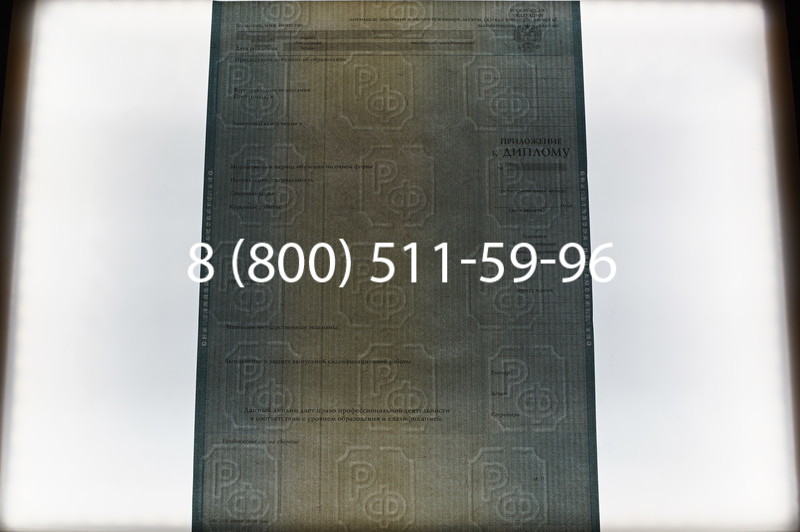 Заказать Диплом специалиста 2012-2013 годов в Челябинске