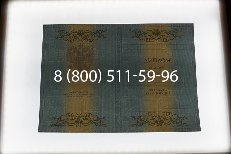 Заказать Диплом специалиста 2012-2013 годов в Челябинске