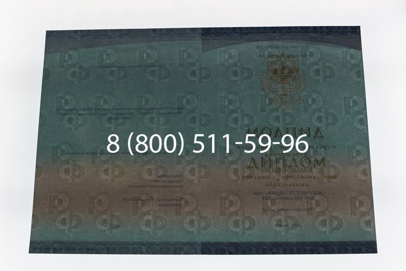 Диплом техникума (Спецбланк) 2014-2026 года в Челябинске