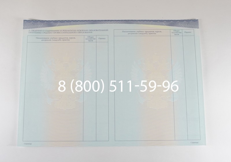 Диплом техникума (Спецбланк) 2014-2026 года в Челябинске