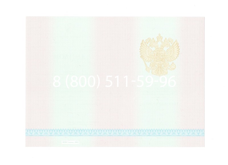 Заказать Диплом техникума 2003-2006 годов в Челябинске