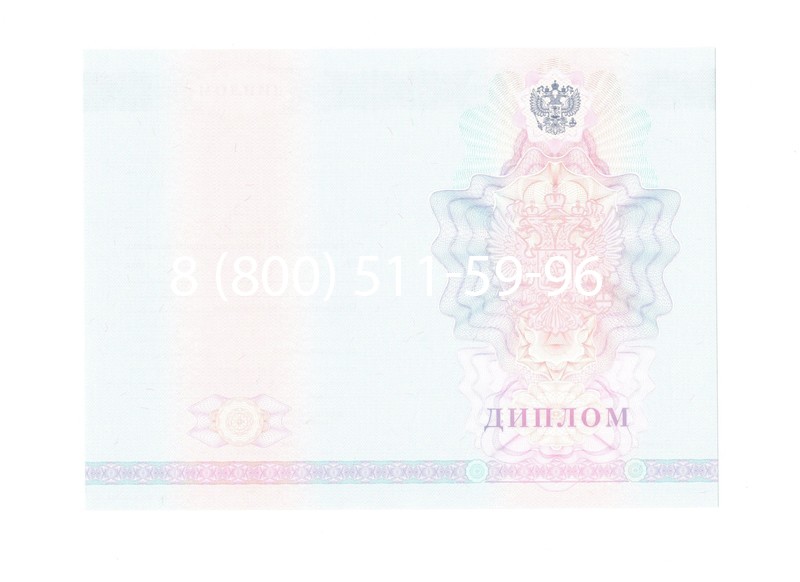 Заказать Диплом техникума 2007-2010 годов в Челябинске