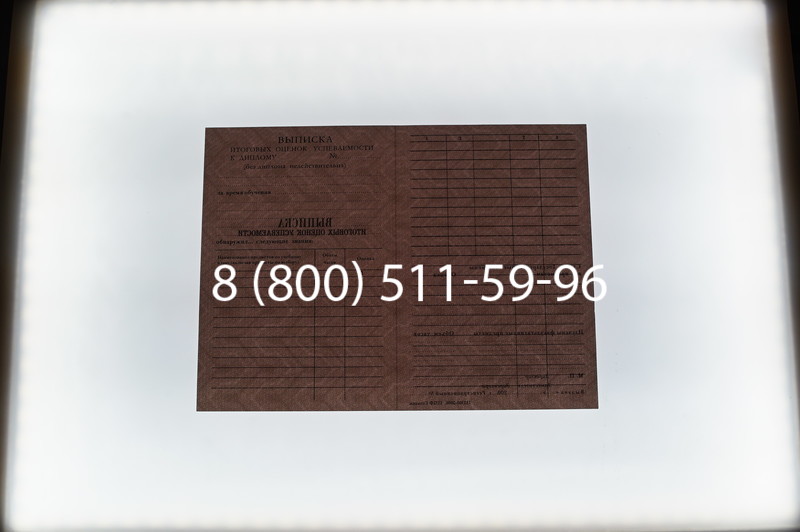 Заказать Диплом училища 1995-2006 годов в Челябинске