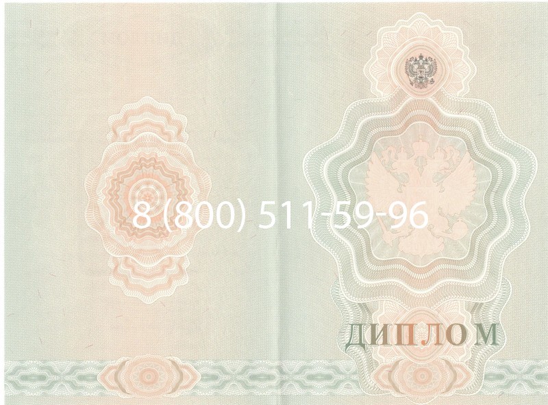 Купить Диплом училища 2007-2009 годов в Челябинске