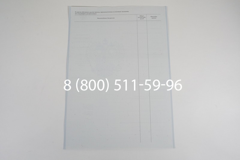 Диплом училища 2007-2009 годов в Челябинске