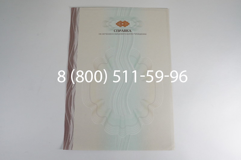 Заказать Справка об обучении в Челябинске