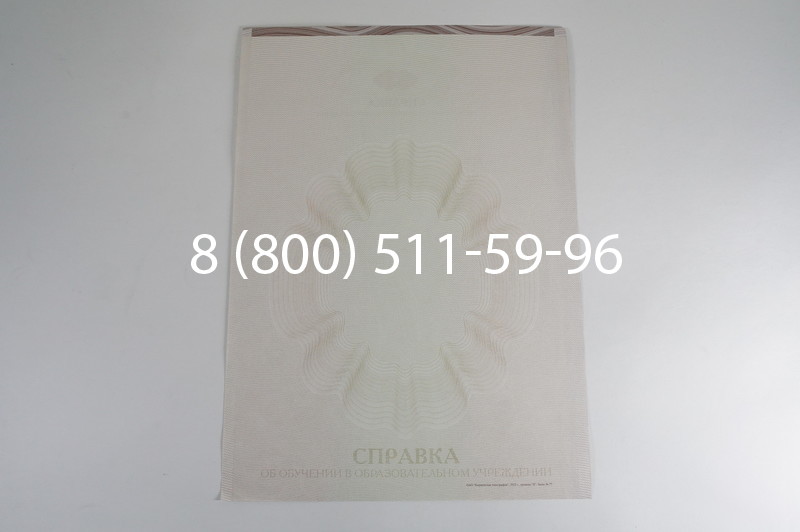 Заказать Справка об обучении в Челябинске