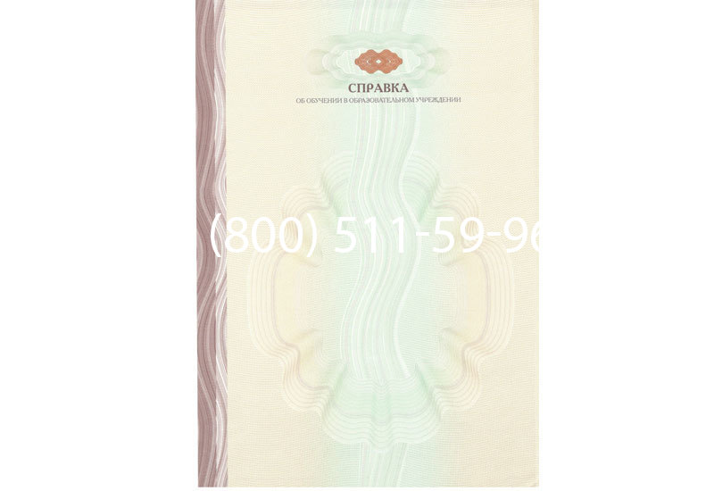 Купить Справка об обучении в Челябинске Купить Справка об обучении в Челябинске