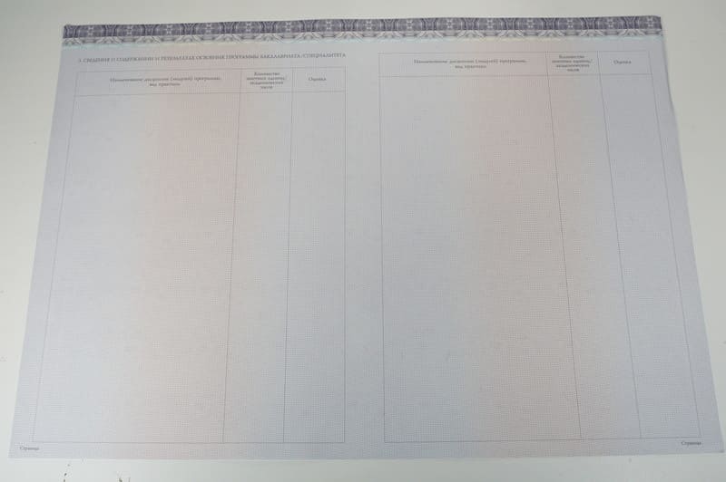 Красный Диплом (с приложением) в Челябинске